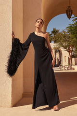 Armina | Black One-Shoulder Feather-Trim Maxi Dress